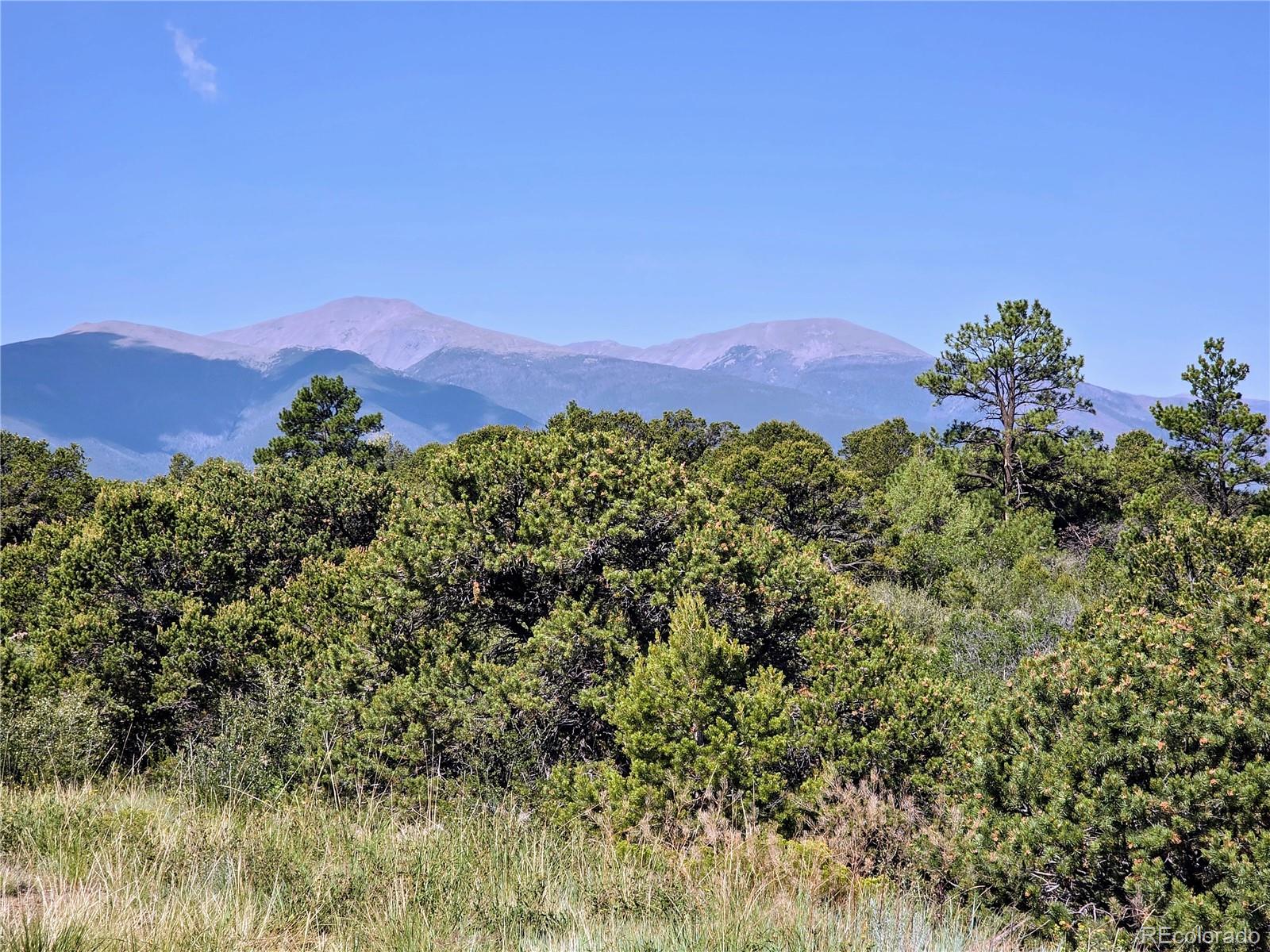 781 Ridgeway Road Cotopaxi, CO 81223 - Photo 21 of 42 a view of a city with lush green forest