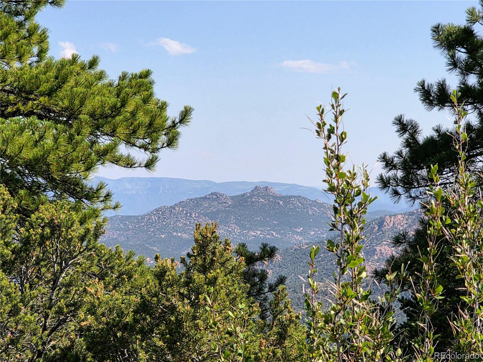 781 Ridgeway Road Cotopaxi, CO 81223 - Photo 24 of 42 a picture of plants and flowers