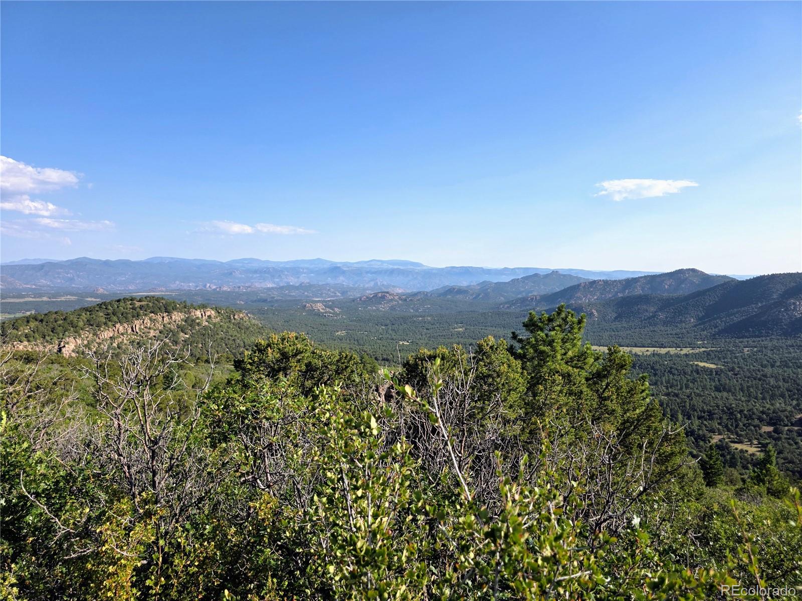 781 Ridgeway Road Cotopaxi, CO 81223 - Photo 26 of 42 a view of a lush green field with mountains in the background