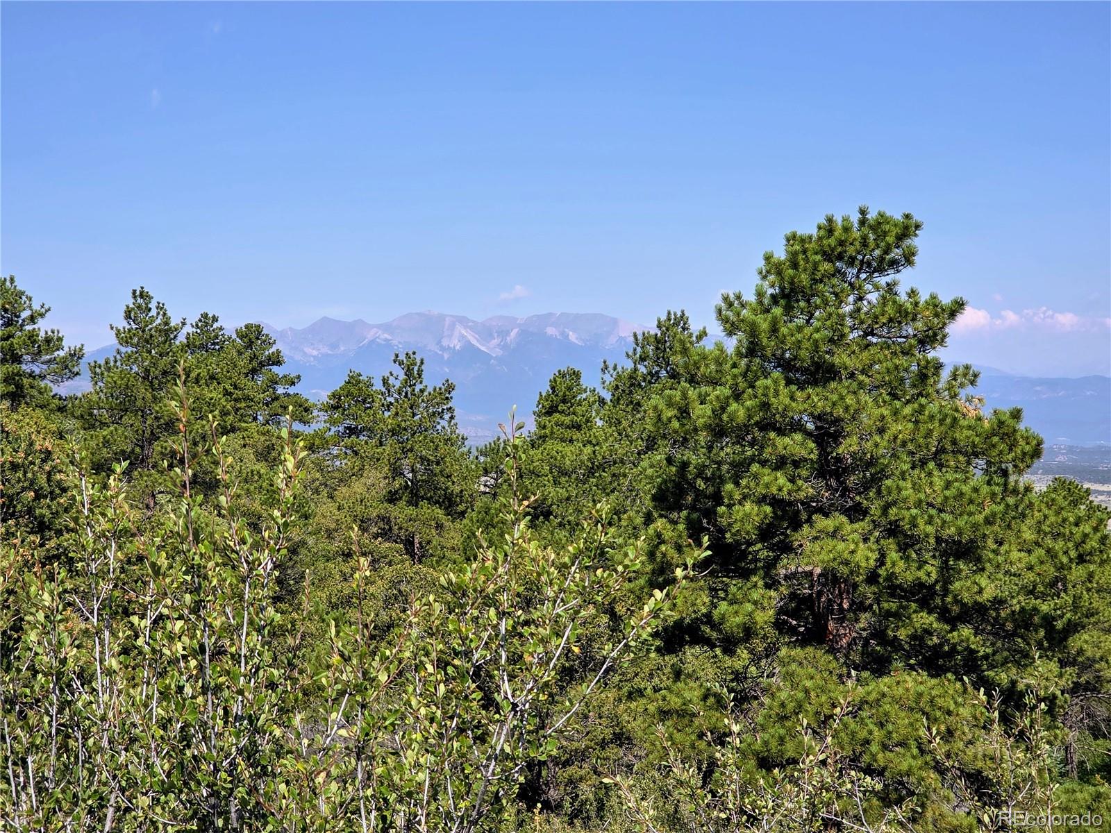 781 Ridgeway Road Cotopaxi, CO 81223 - Photo 27 of 42 a view of a field with a tree in the background