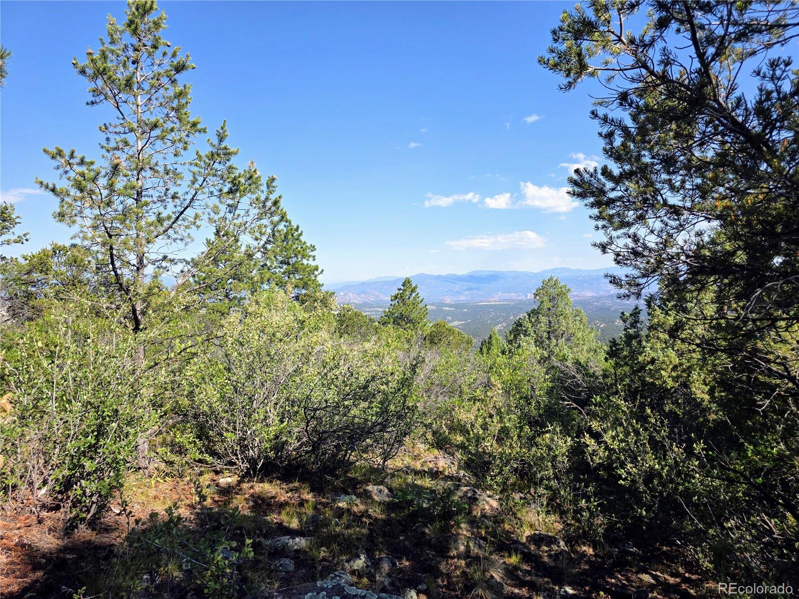 781 Ridgeway Road Cotopaxi, CO 81223 - Photo 33 of 42 a view of a lake
