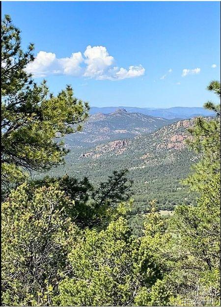 781 Ridgeway Road Cotopaxi, CO 81223 - Photo 38 of 42 a view of a bunch of trees and a building