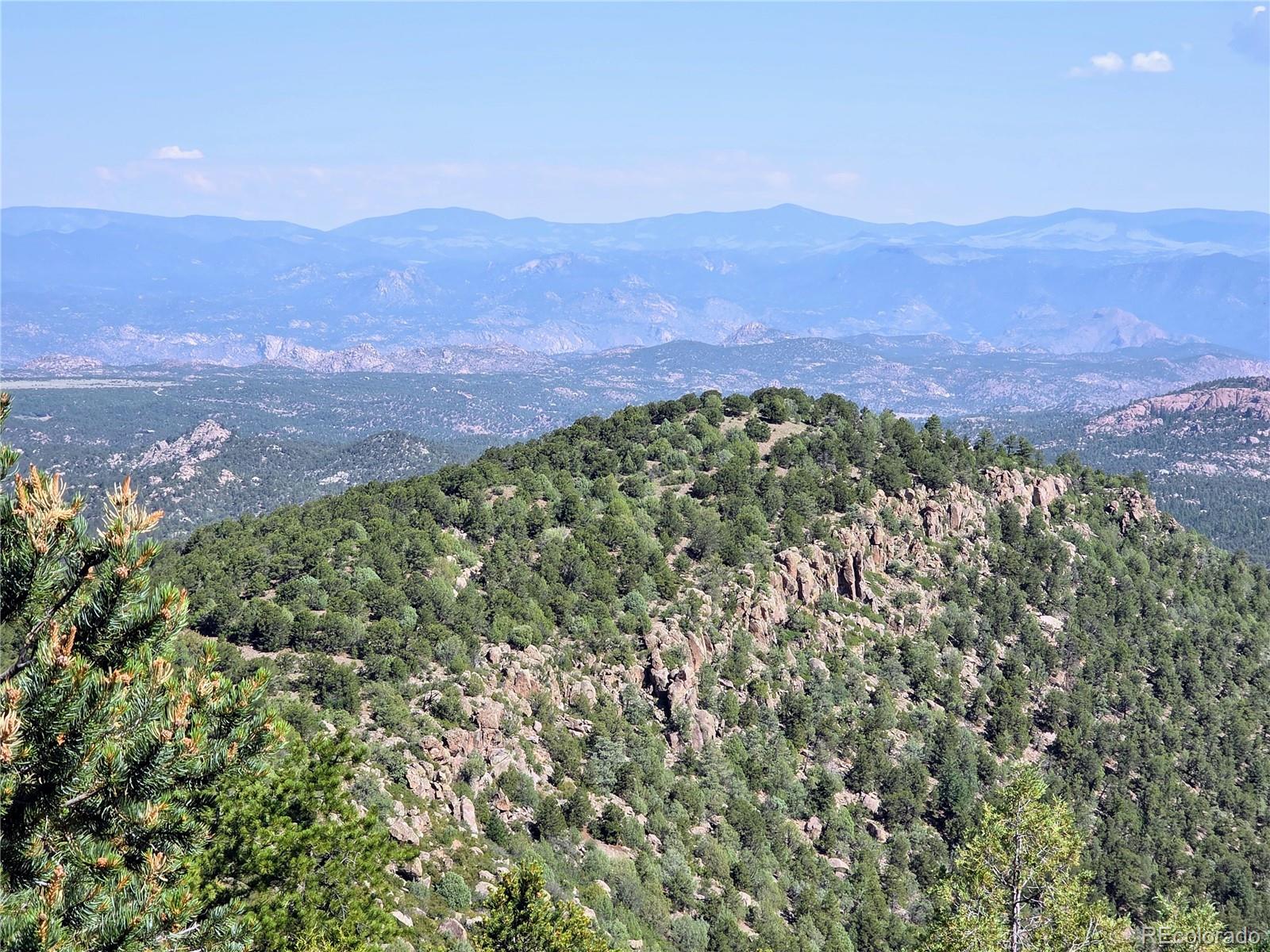781 Ridgeway Road Cotopaxi, CO 81223 - Photo 6 of 42 a view of a lush green hillside and a mountain
