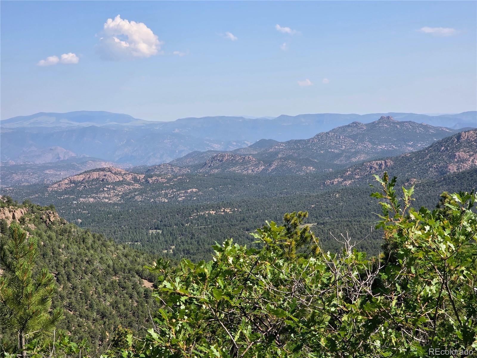 781 Ridgeway Road Cotopaxi, CO 81223 - Photo 8 of 42 a view of a lush green hillside and a mountain