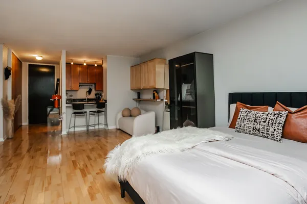 $1,900 | 535 North Michigan Avenue, Unit 407, Chicago, IL 60611