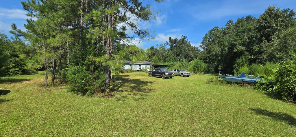 4739 Wallace Buie Road Columbia, AL 36319 - Photo 33 of 54