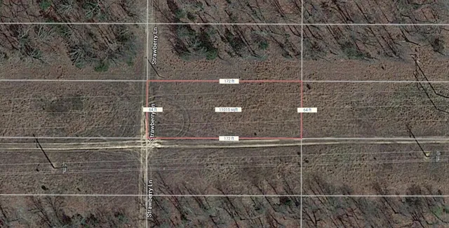 $1,100 | 1520 Strawberry Lane, Other, AR 72512