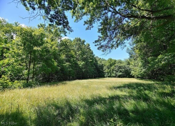 Kinsman Ridge Kinsman, OH 44428 - Photo 6 of 17 Gallery Image 6
