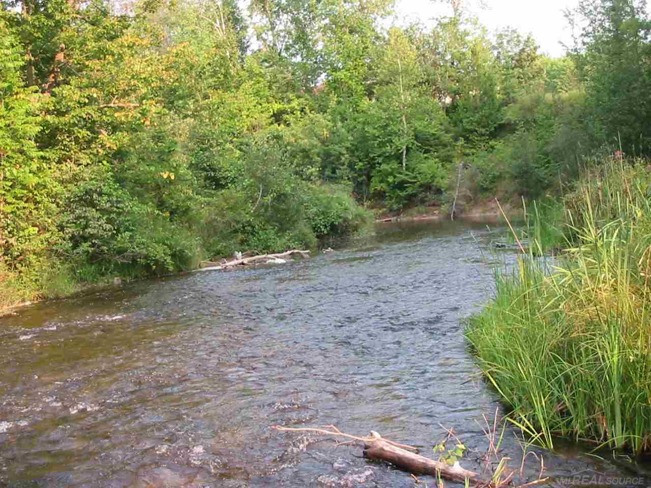 5 River Road Millersburg, MI 49759 - Photo 2 of 7