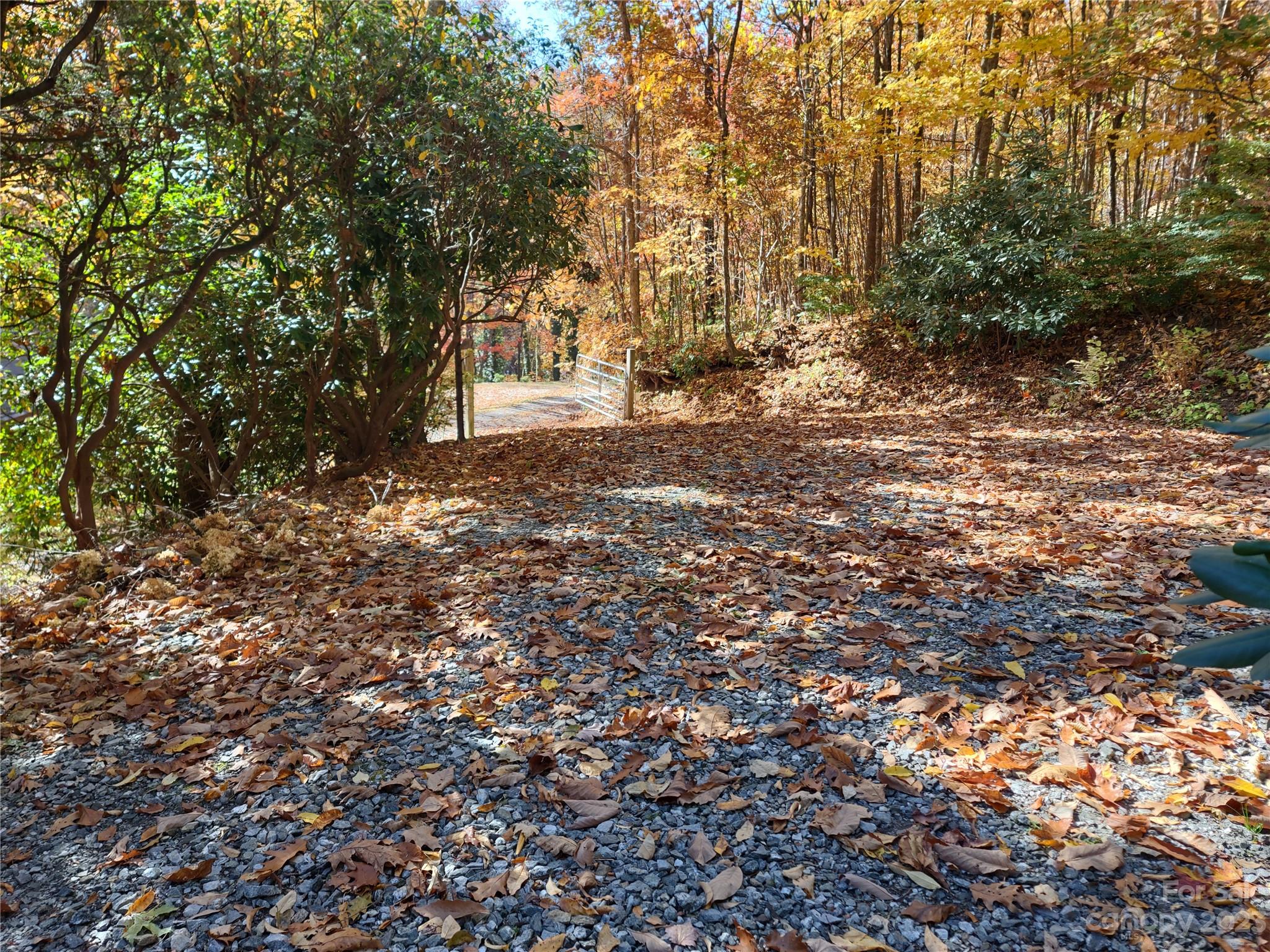 33 Rountoit Road Waynesville, NC 28786 - Photo 46 of 46
