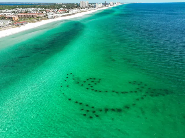 $1,599,000 | 9 Payne Street, Miramar Beach, FL 32550