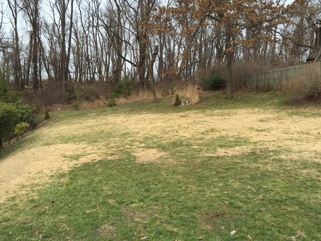 314 Edgewood Road Forest Hills, PA 15221 - Photo 8 of 10 Gallery Image 8