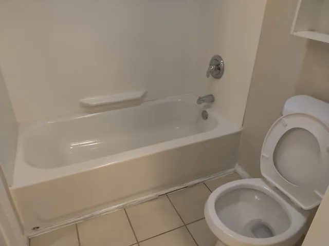 a bathroom with a toilet and a bathtub