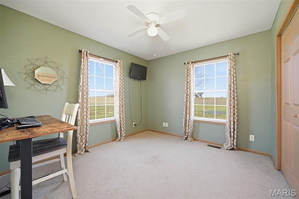 12003 Emerald Road Pocahontas, IL 62275 - Photo 12 of 65