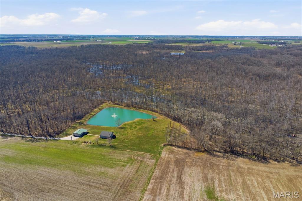 12003 Emerald Road Pocahontas, IL 62275 - Photo 33 of 65