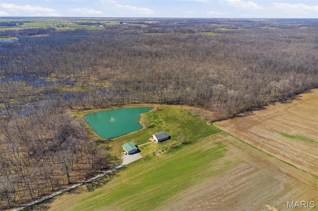 12003 Emerald Road Pocahontas, IL 62275 - Photo 34 of 65