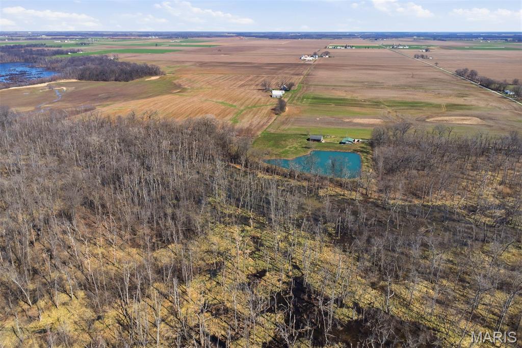 12003 Emerald Road Pocahontas, IL 62275 - Photo 36 of 65