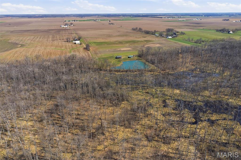 12003 Emerald Road Pocahontas, IL 62275 - Photo 37 of 65