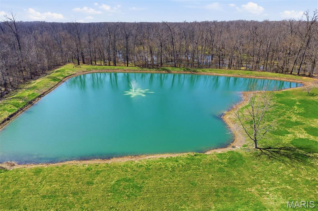 12003 Emerald Road Pocahontas, IL 62275 - Photo 51 of 65