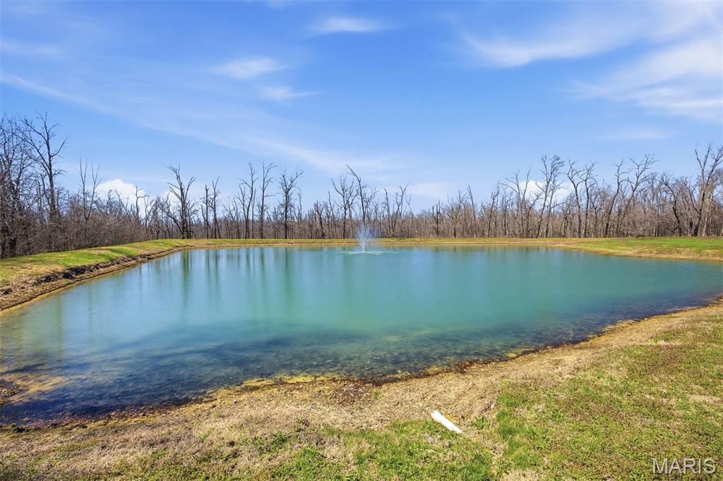 12003 Emerald Road Pocahontas, IL 62275 - Photo 52 of 65