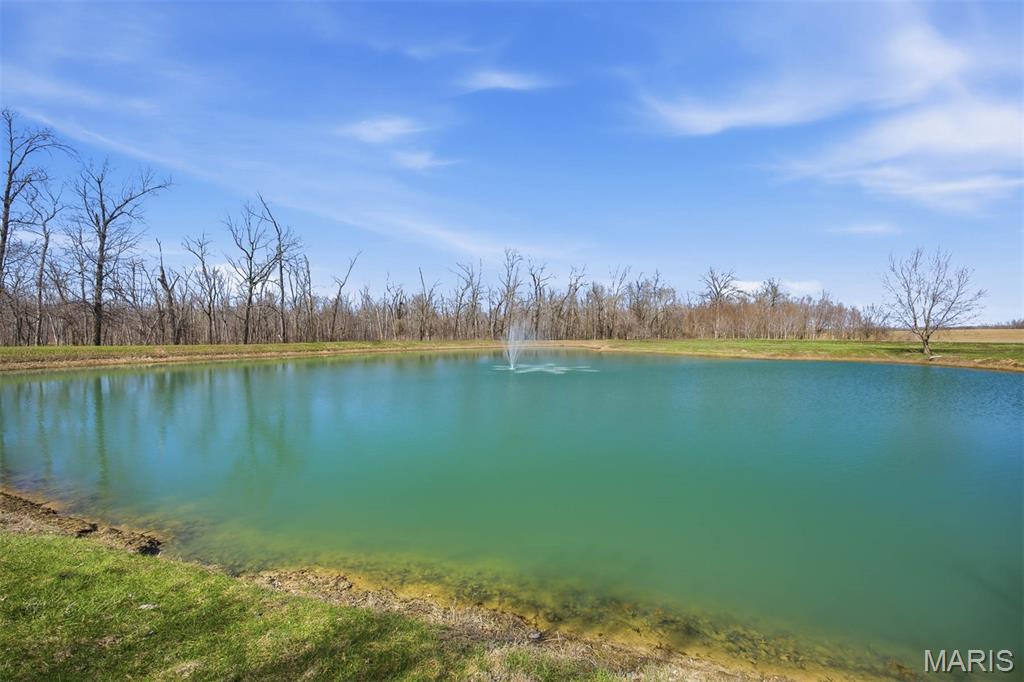 12003 Emerald Road Pocahontas, IL 62275 - Photo 53 of 65