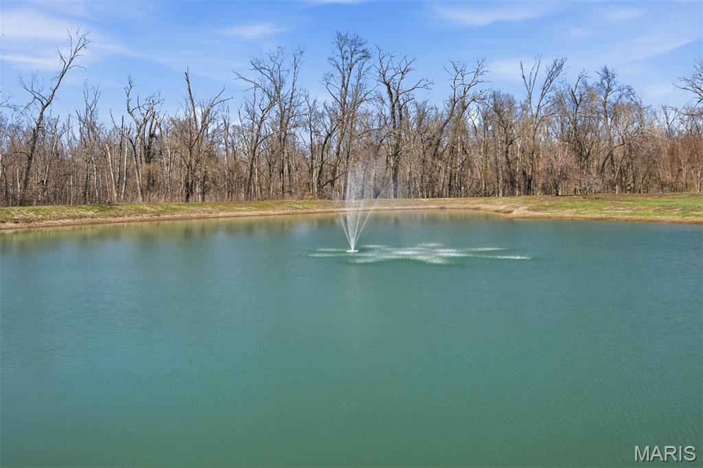 12003 Emerald Road Pocahontas, IL 62275 - Photo 54 of 65