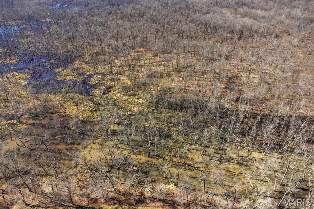 12003 Emerald Road Pocahontas, IL 62275 - Photo 58 of 65