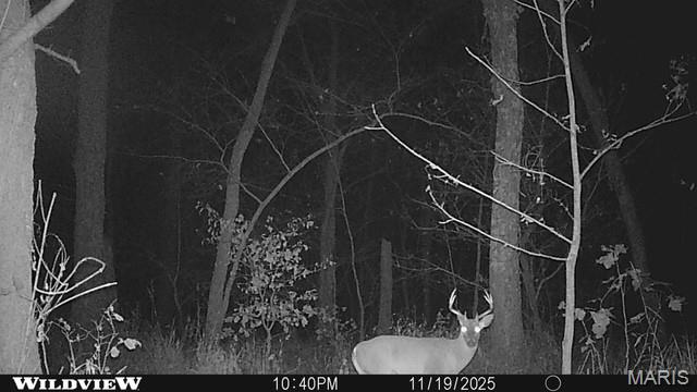 12003 Emerald Road Pocahontas, IL 62275 - Photo 60 of 65