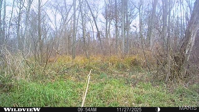 12003 Emerald Road Pocahontas, IL 62275 - Photo 61 of 65