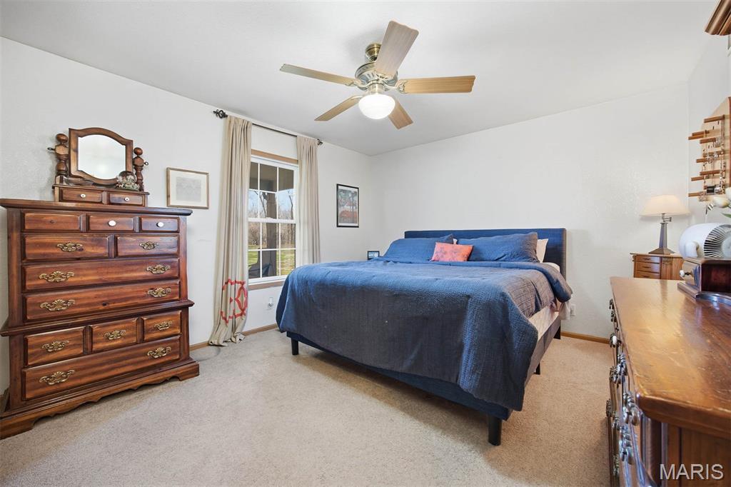 12003 Emerald Road Pocahontas, IL 62275 - Photo 9 of 65