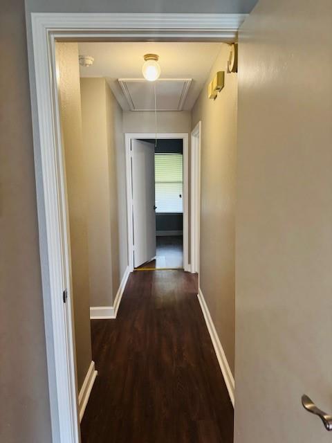 4722 Fallon Place Dallas, TX 75227 - Photo 10 of 17 Hallway