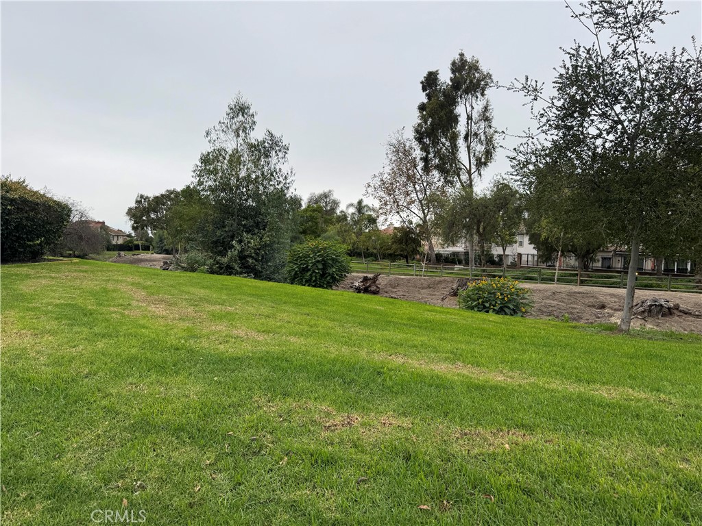 6 Recodo Irvine, CA 92620 - Photo 30 of 33 a view of a park with large trees