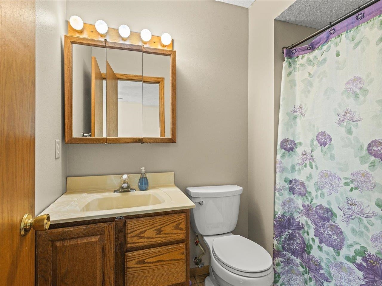 536 Carpenter Street Belvidere, IL 61008 - Photo 20 of 39 a bathroom with a sink a toilet and shower curtain