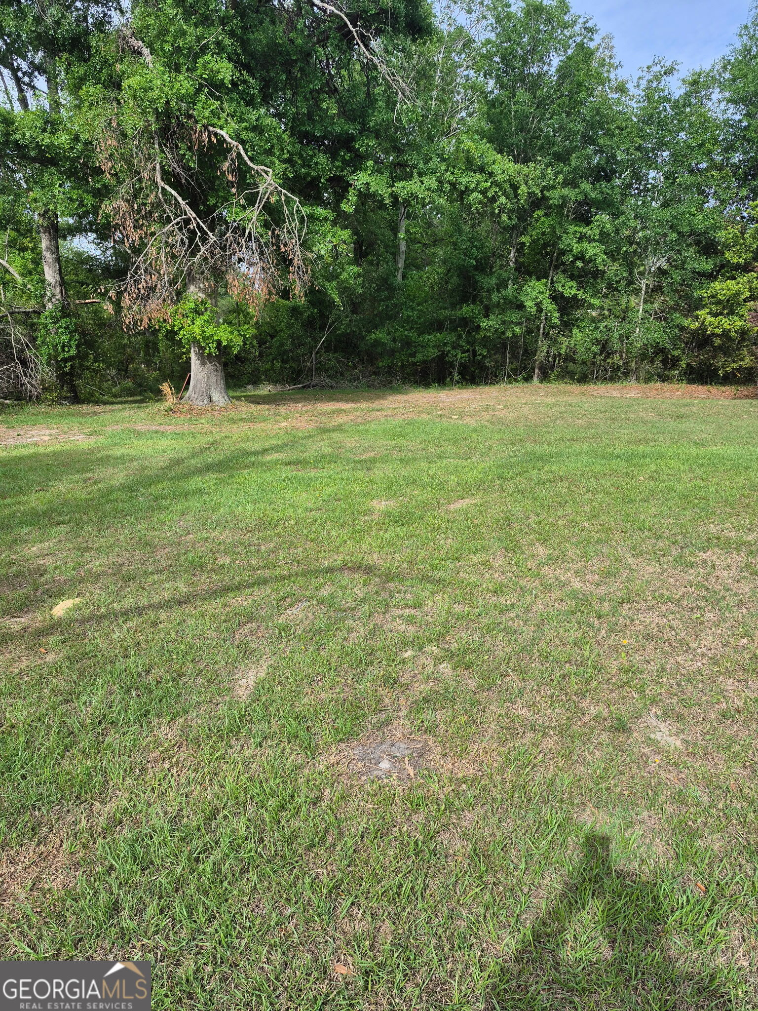 267 Clark Avenue Lyons, GA 30436 - Photo 1 of 2