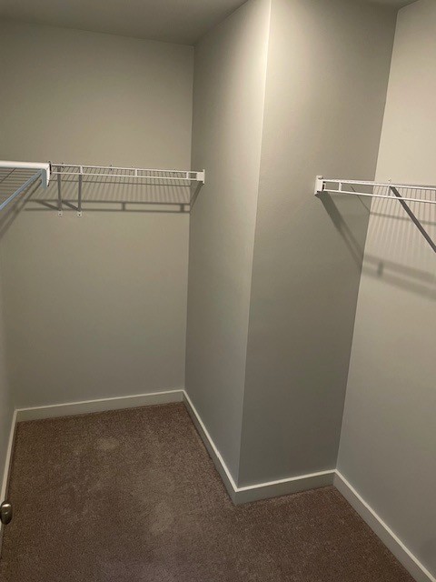 1741 Frodo Way Murfreesboro, TN 37128 - Photo 8 of 10 a view of a room with racks on the wall