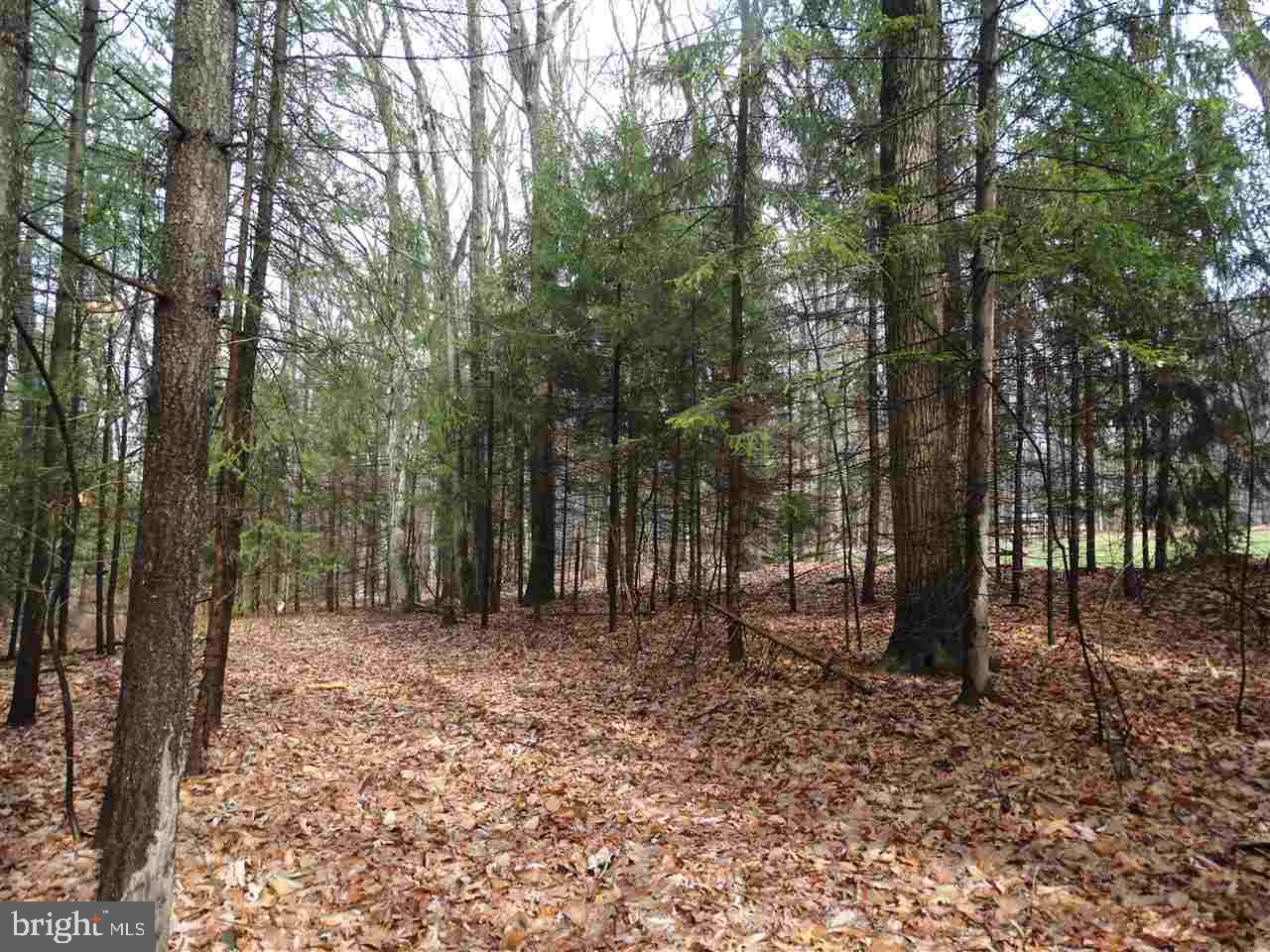 0 Colonial Road Dover, PA 17315 - Photo 2 of 5 Gallery Image 2