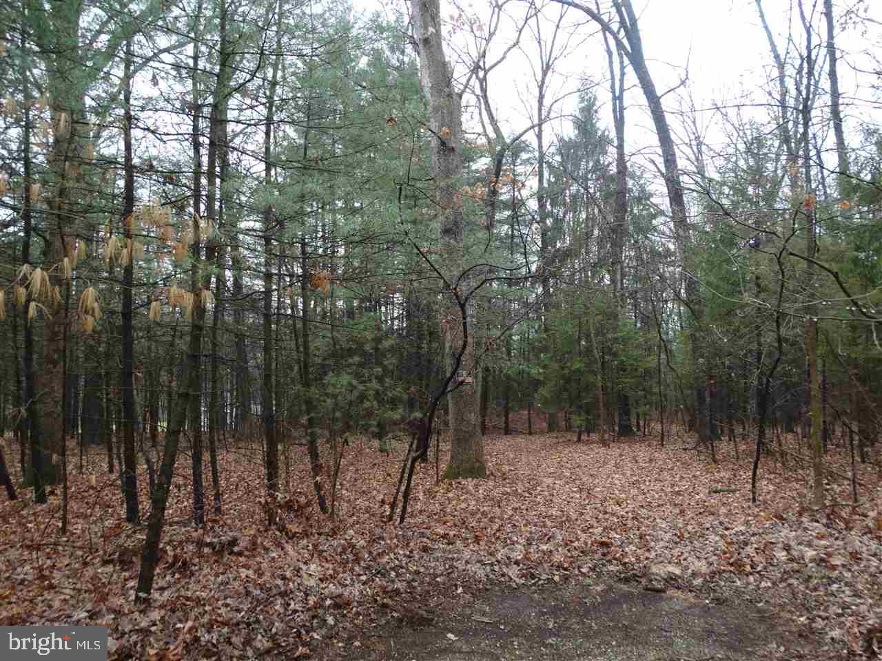 0 Colonial Road Dover, PA 17315 - Photo 3 of 5 Gallery Image 3