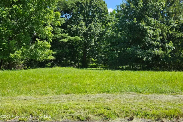 a view of a yard with a trees