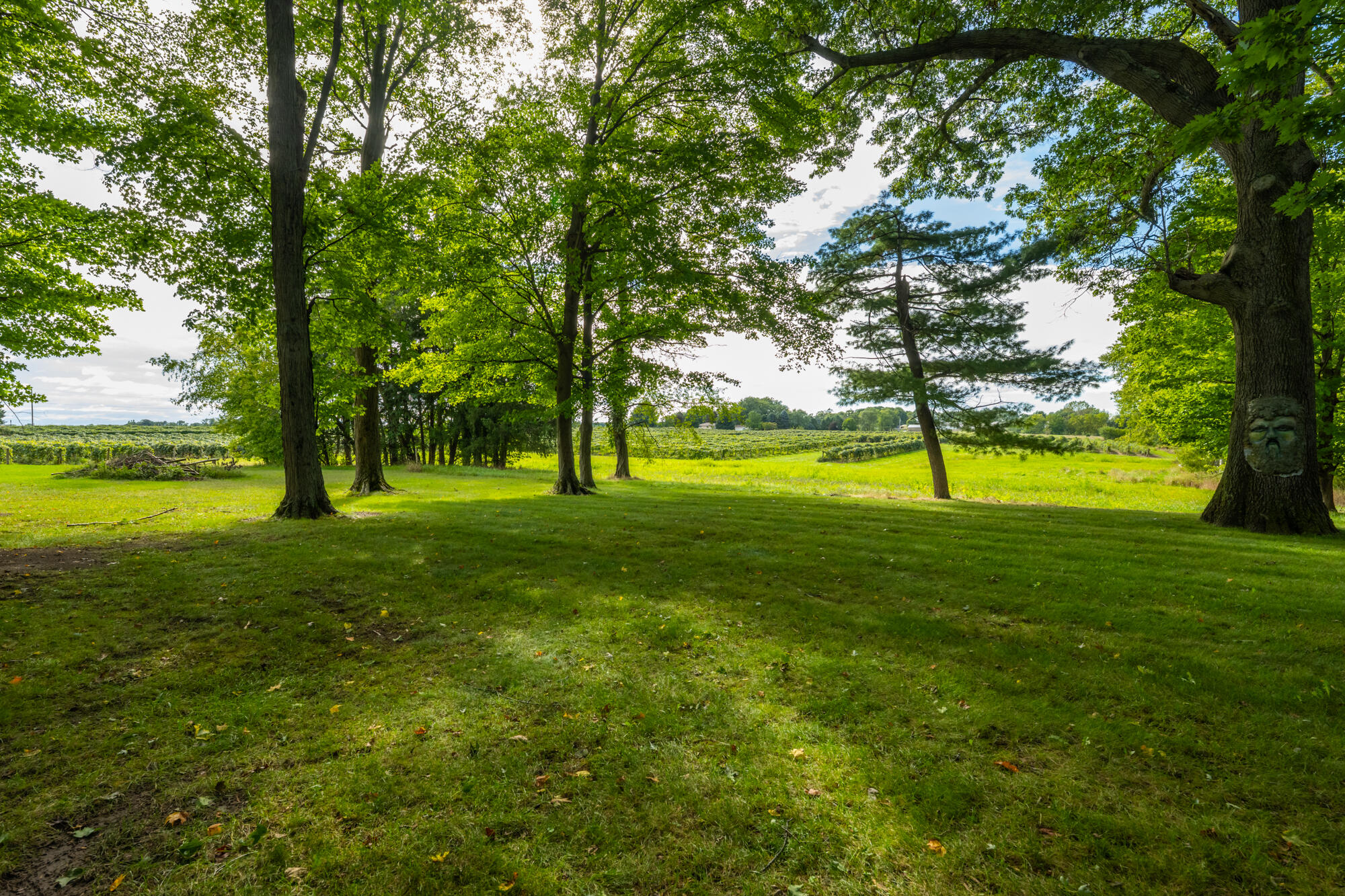 1180 South Bainbridge Center Road Benton Harbor, MI 49022 - Photo 31 of 33 Bainbridge Center-110