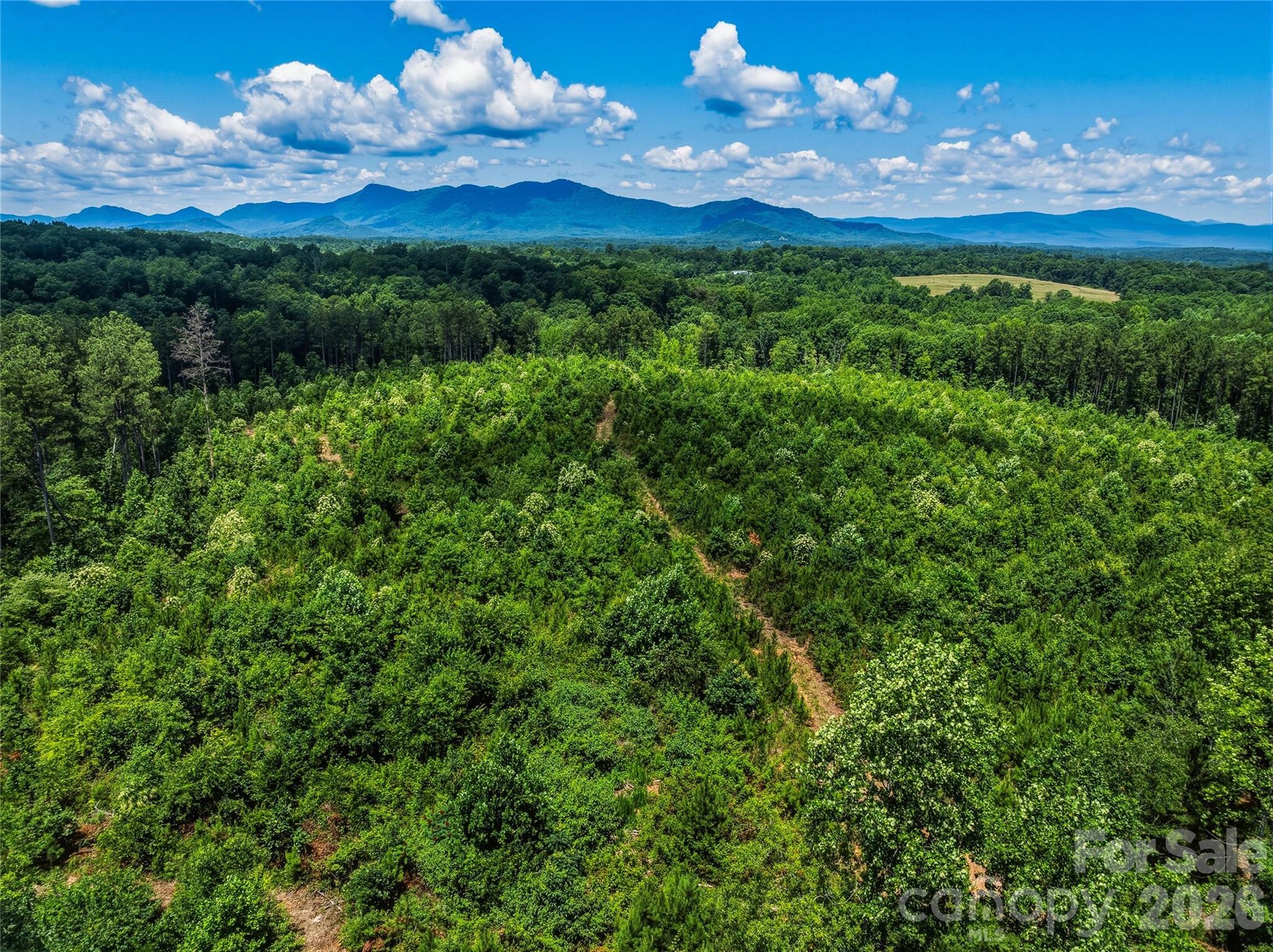 6783 Peniel Road Tryon, NC 28782 - Photo 21 of 36