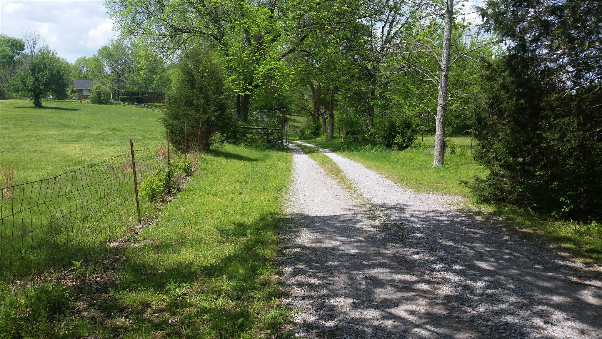 5749 Cane Ridge Road Antioch, TN 37013 - Photo 6 of 20 driveway