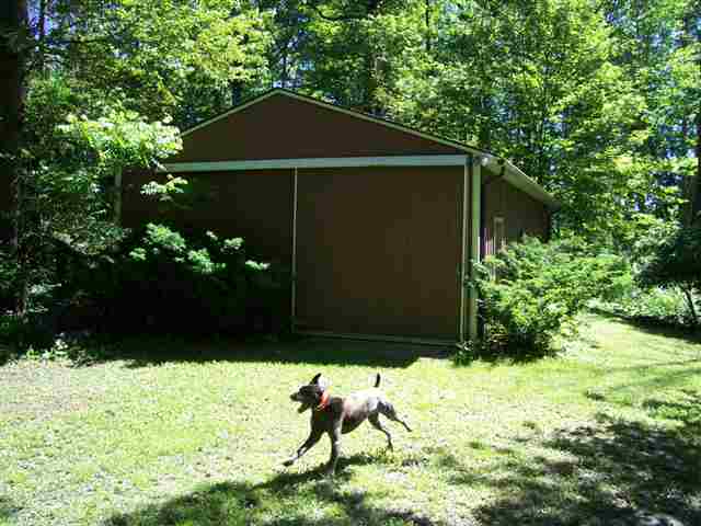 78300 Fisher Road Romeo, MI 48065 - Photo 7 of 21 31038062-6.JPG