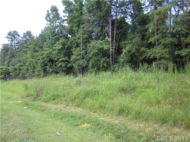 13124 Statesville Road Huntersville, NC 28078 - Photo 2 of 7 a view of a lush green forest with lots of trees