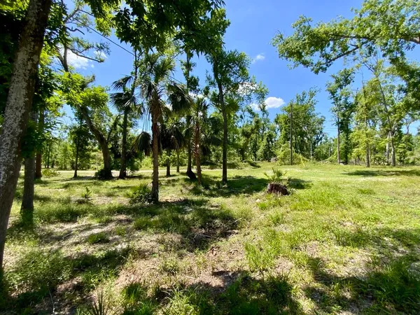 $79,900 | 1903 Southeast Boundary Bend Trail, Lee, FL 32059