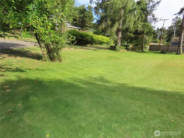 a view of yard with green space