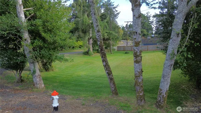 a green field with lots of trees