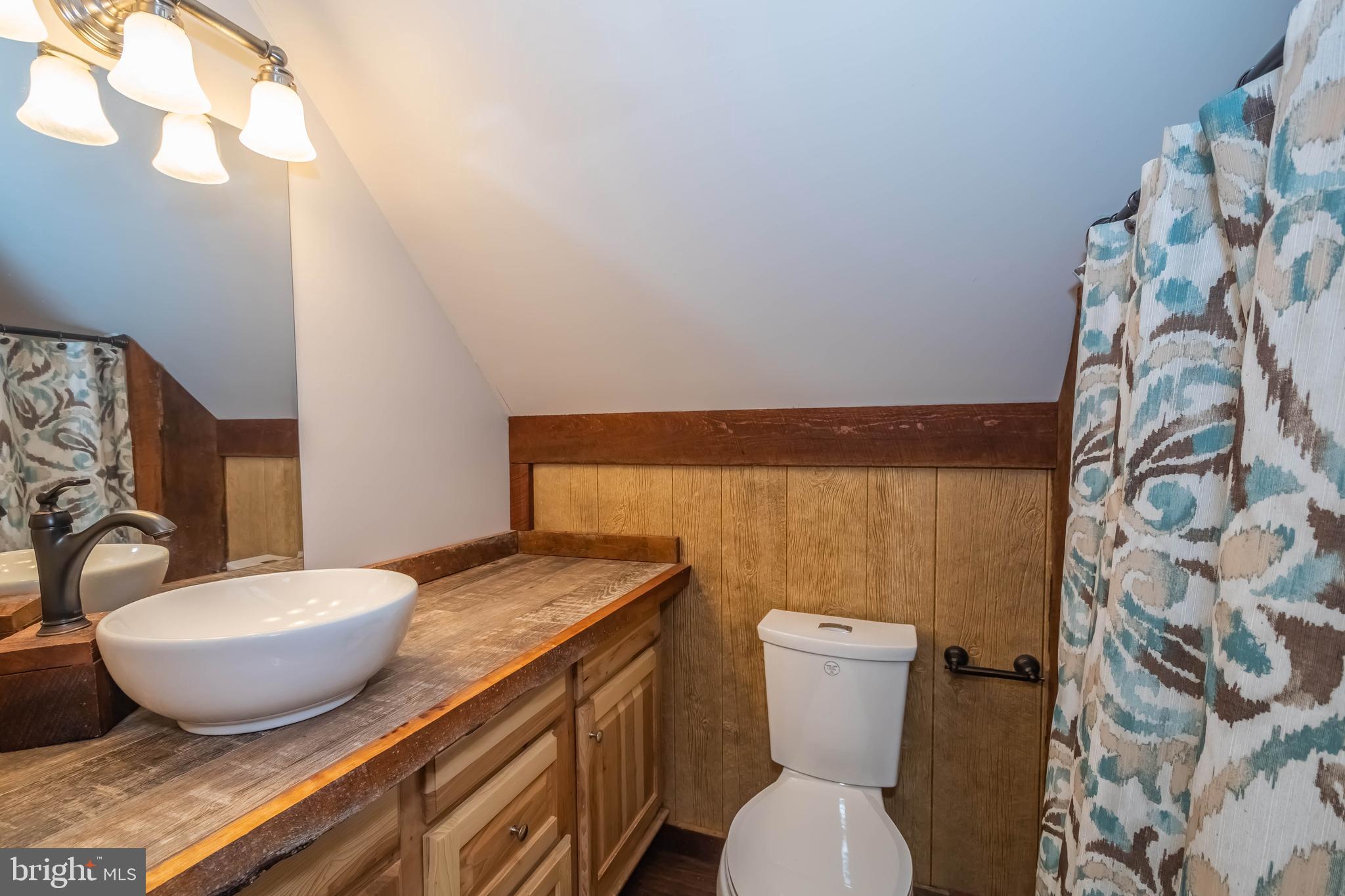 302 Oak Way Road Swanton, MD 21561 - Photo 31 of 56 a bathroom with a granite countertop toilet and a sink