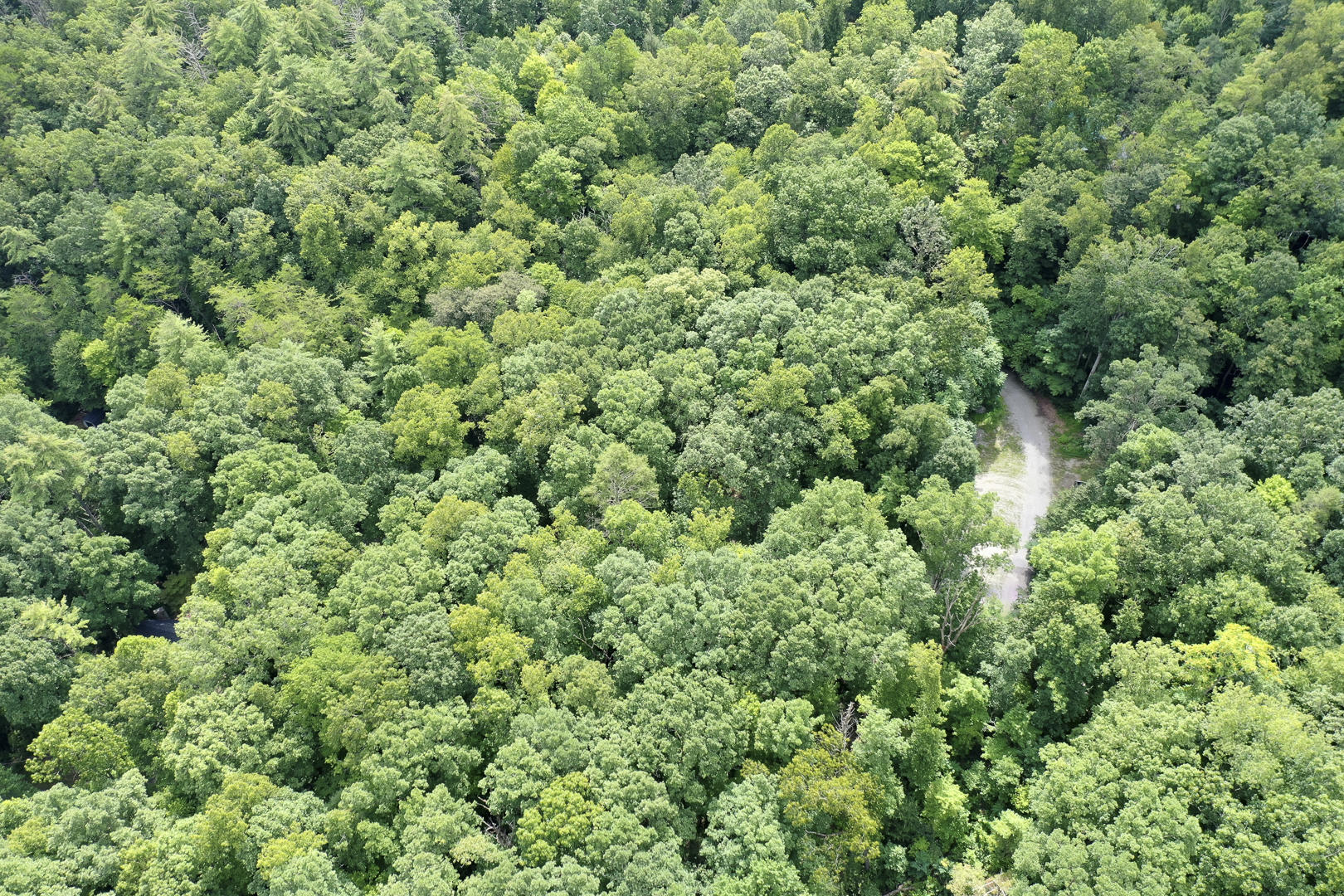 Lail Lane Townsend, TN 37882 - Photo 8 of 9 8