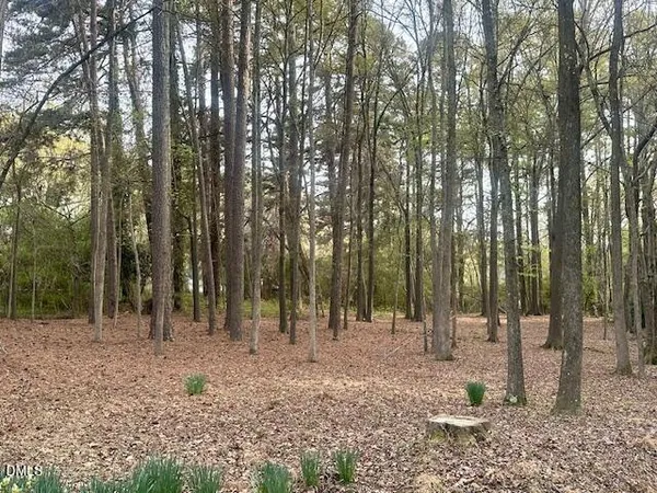 a view of outdoor space with lots of trees