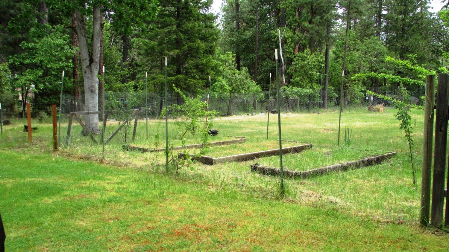900 Queens Branch Road Rogue River, OR 97537 - Photo 15 of 18 Additional Photo